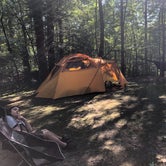 Review photo of Babcock State Park Campground by Travis C., August 10, 2020
