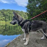 Review photo of Babcock State Park Campground by Travis C., August 10, 2020