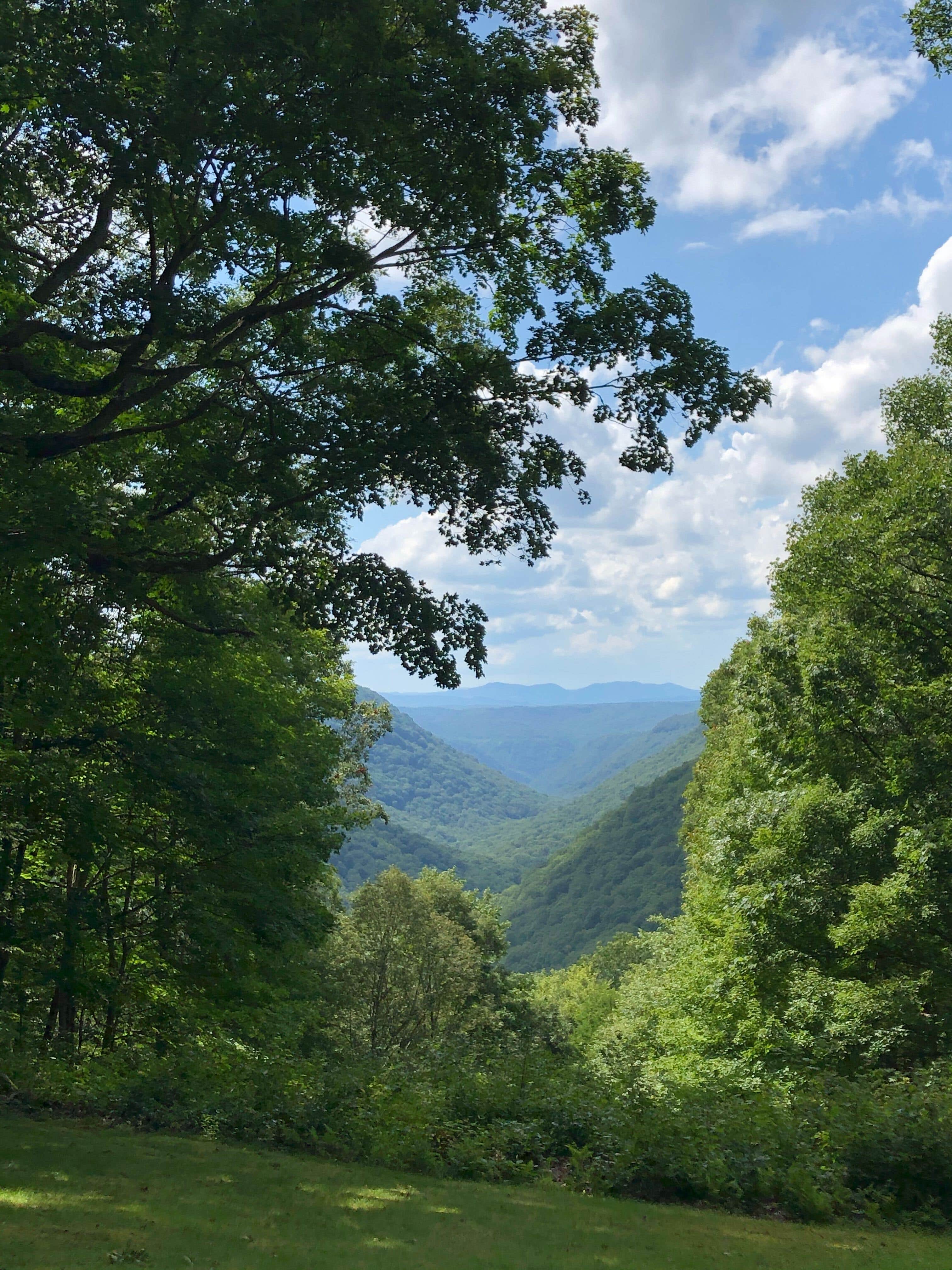View from a hiking trail.