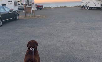 Emma O.'s photo of camping with pets at Point Hudson Marina & RV Park near Oak Harbor, WA