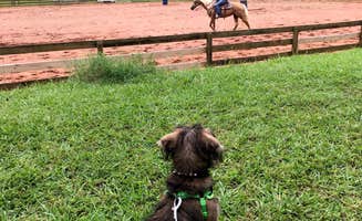Annell N.'s photo of camping with pets at Croft State Park Campground near Francis Marion and Sumter National Forests