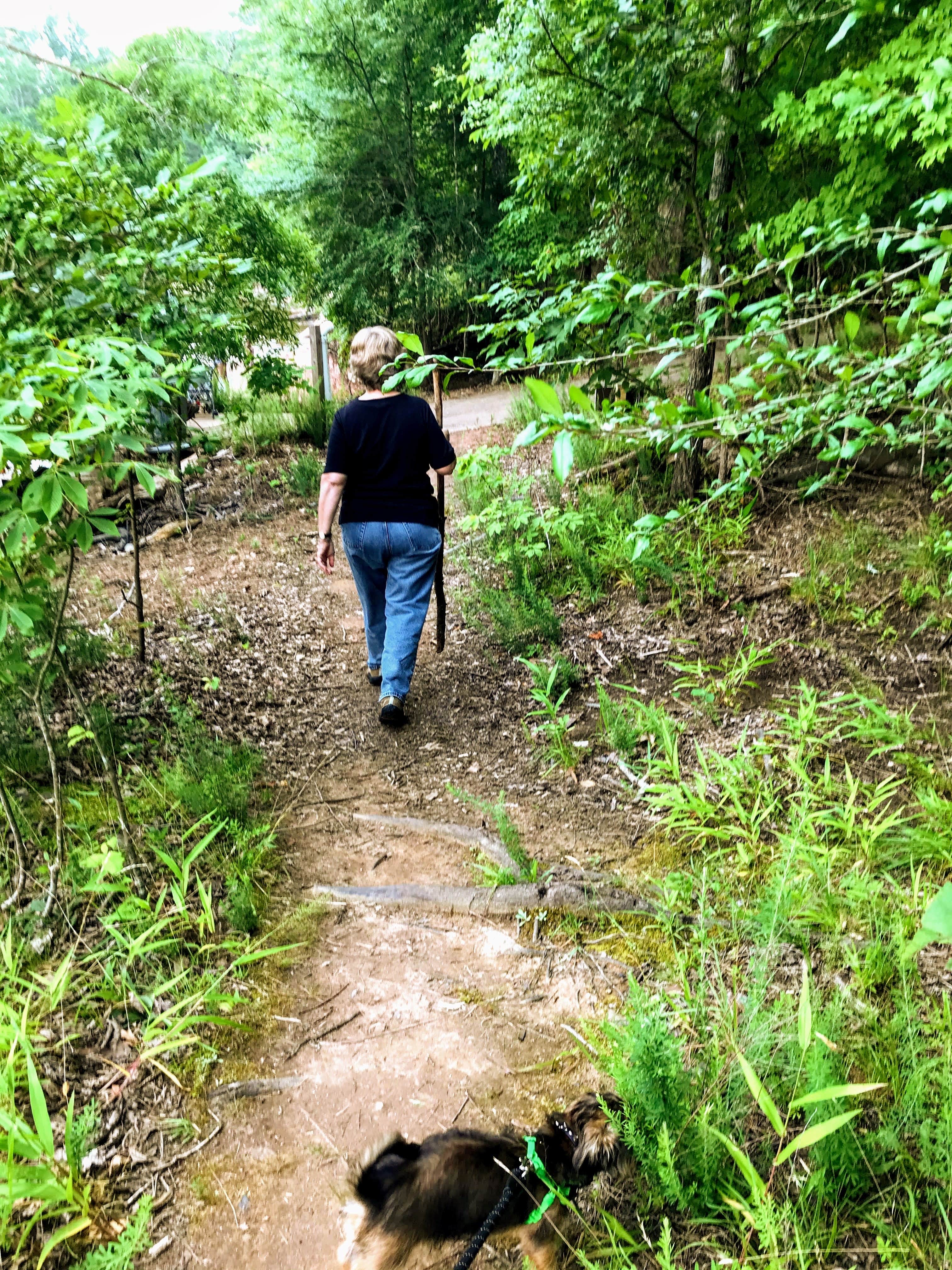 Annell N.'s photo of camping with pets at Rolling View — Falls Lake State Recreation Area near B. Everett Jordan Lake