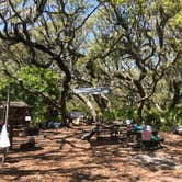 Review photo of Sea Camp Campground — Cumberland Island National Seashore by Adela D., April 23, 2018