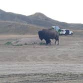 Review photo of Sage Creek Campground by Stephanie S., August 10, 2020