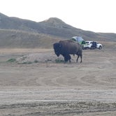 Review photo of Sage Creek Campground — Badlands National Park by Stephanie S., August 10, 2020