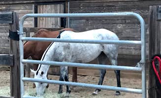 Annell N.'s photo of camping with a horse at Fair Harbor RV Park near Warner Robins, GA