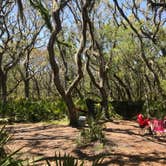 Review photo of Sea Camp Campground — Cumberland Island National Seashore by Adela D., April 23, 2018
