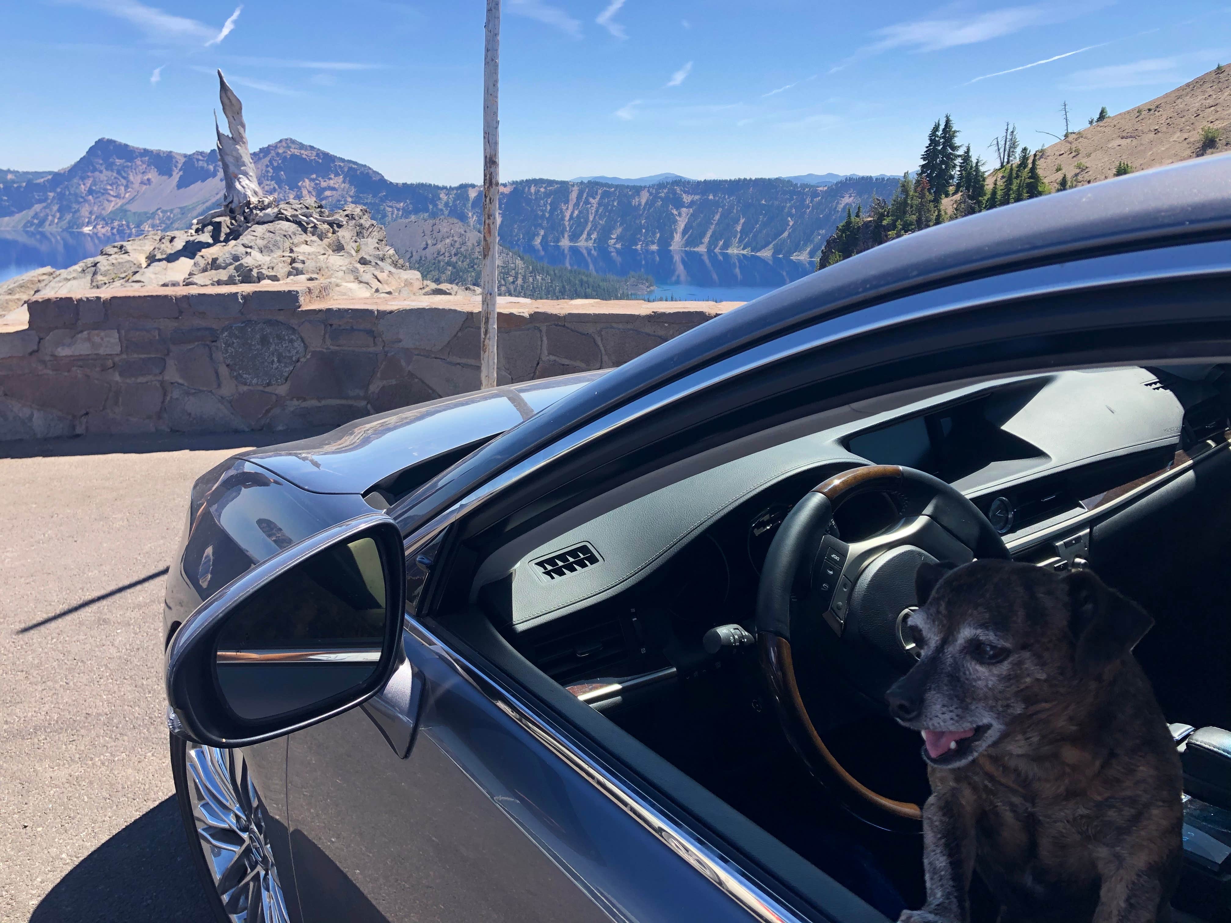 Alicia F.'s photo of camping with pets at Crater Lake Lodge — Crater Lake National Park near Crater Lake National Park