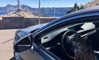 Alicia F.'s photo of camping with pets at Crater Lake Lodge — Crater Lake National Park near Chemult, OR