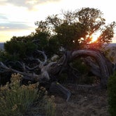 Review photo of Angel Peak Scenic View Campground by Susan H., April 23, 2018