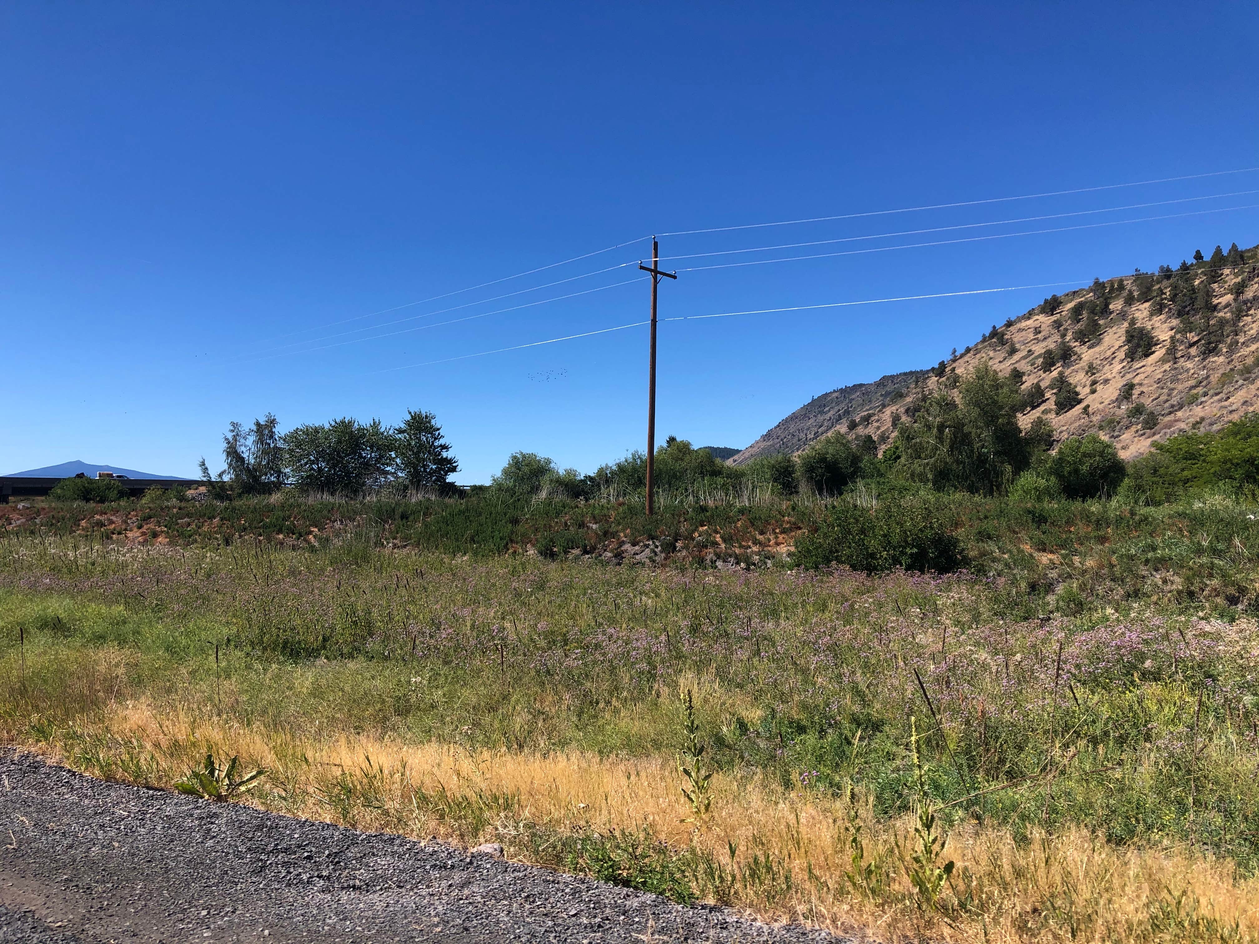 Hagelstein Park Camping | Chiloquin, OR