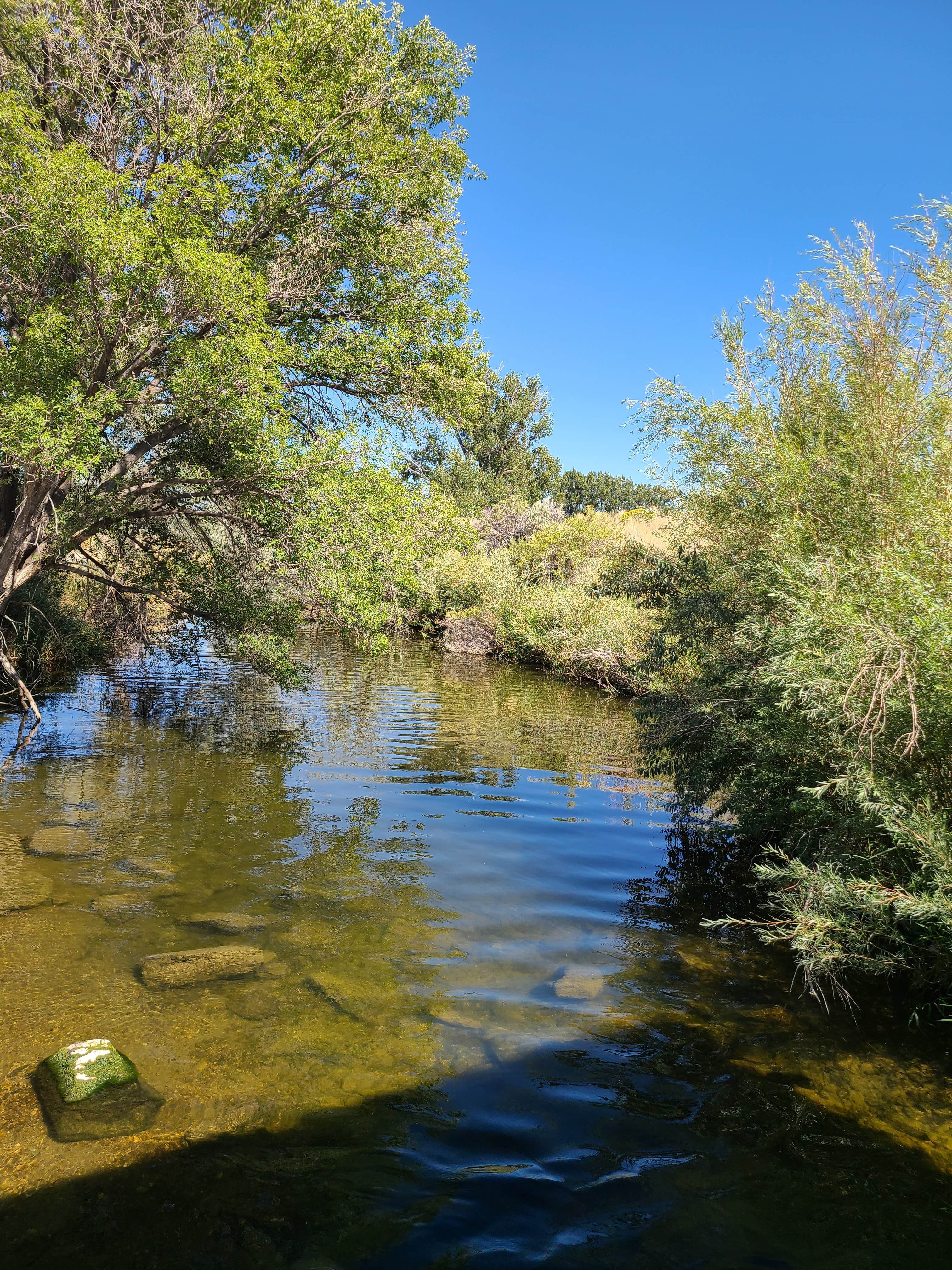 Camper submitted image from Heyburn Riverside RV Park - 3