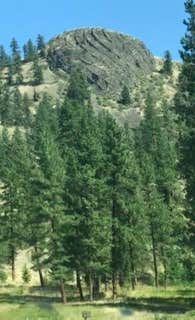 Camping near Tiffany's Resort: Beaver Lake Campground, Wauconda, Washington