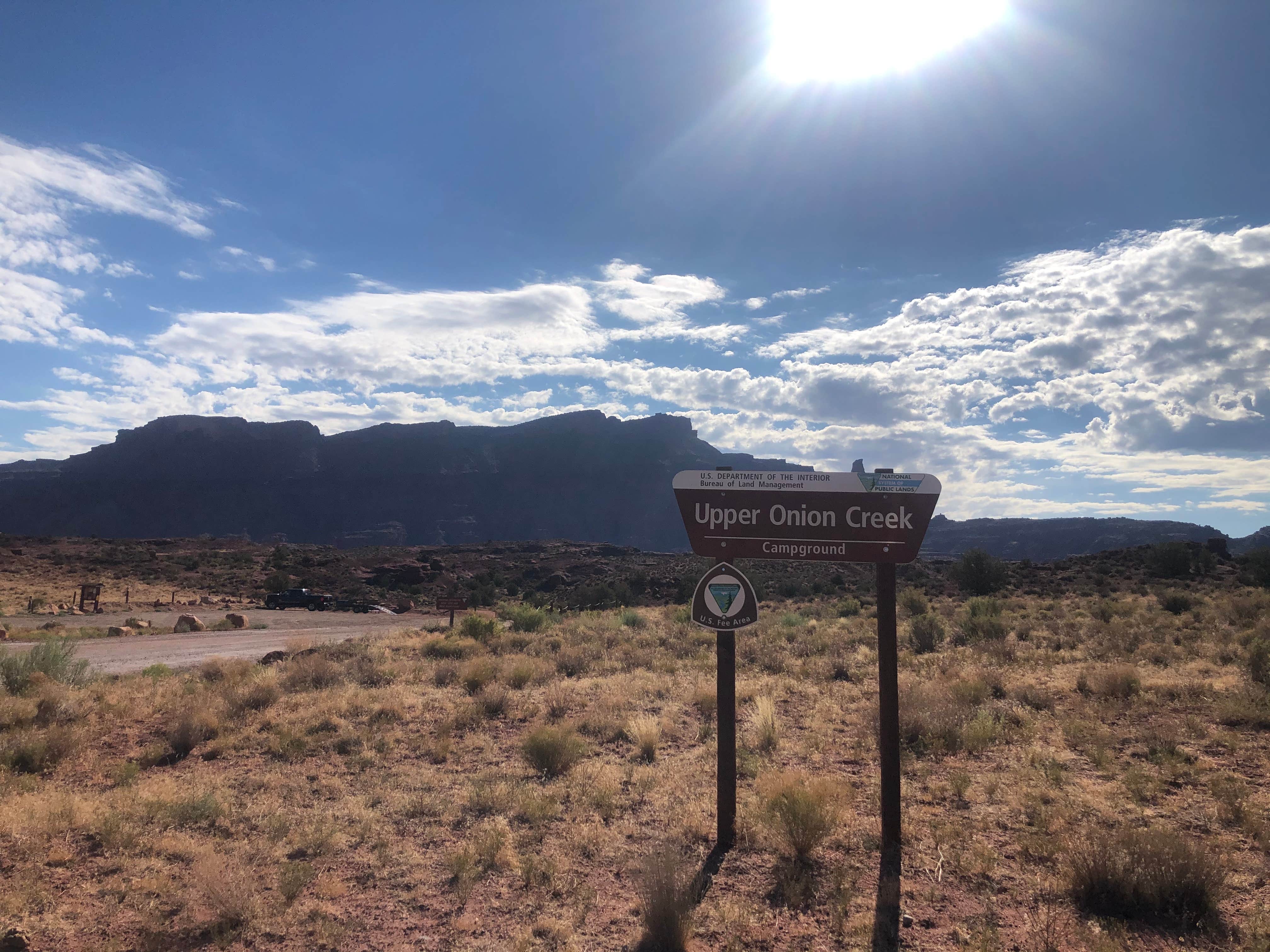 Camper-submitted photo at Upper Onion Creek Campground near La Sal, UT