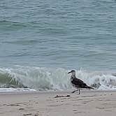 Review photo of Bethany Beach Training Site by Jim  L., August 10, 2020