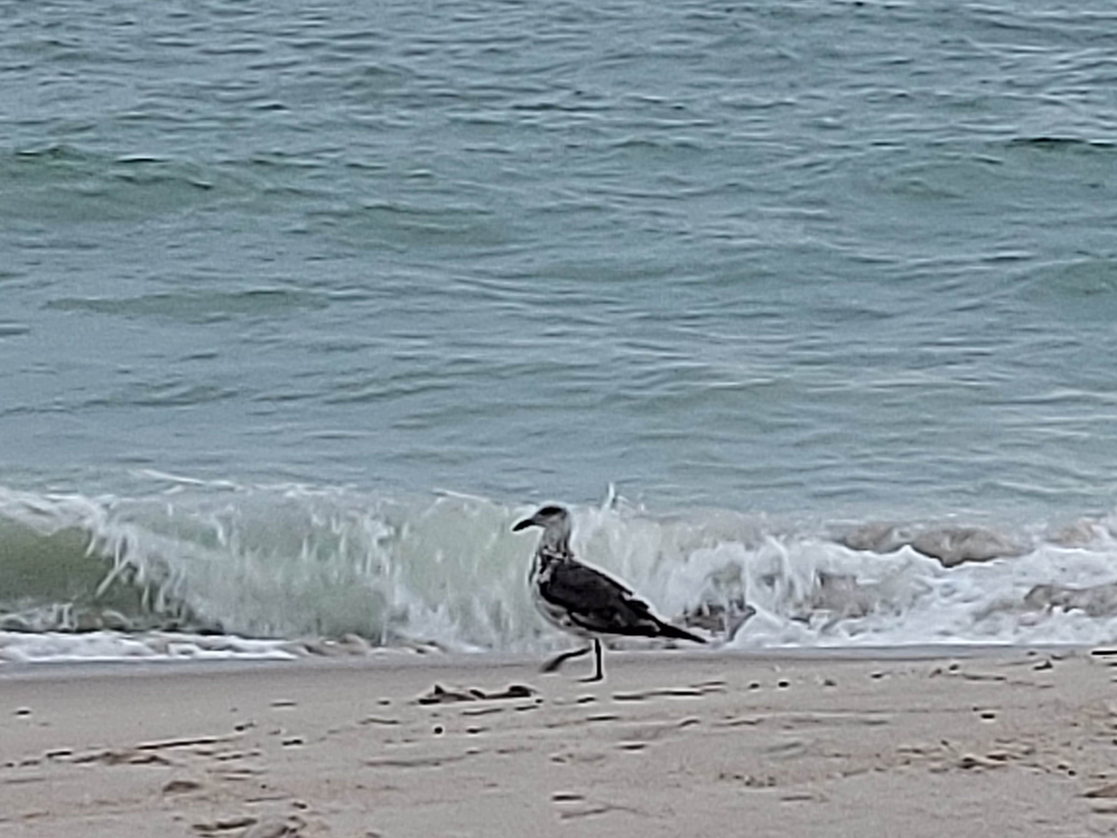 Camper submitted image from Bethany Beach Training Site - 4