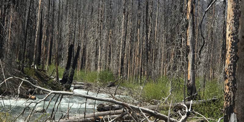 Camper submitted image from Spruce Grove Campground