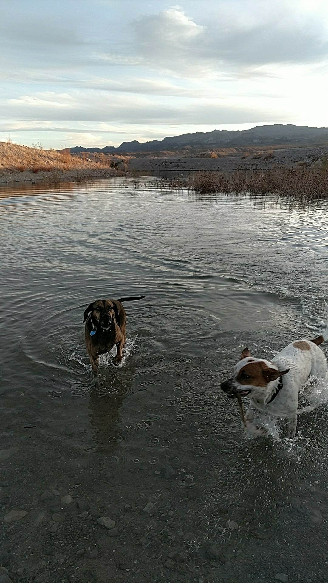 Camper-submitted photo at Government Wash — Lake Mead National Recreation Area near Henderson, NV