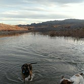 Review photo of Government Wash — Lake Mead National Recreation Area by Chelsea K., April 23, 2018