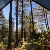 Review photo of Cocino National Forest - Rd. 535 by Kelsey B., August 11, 2020