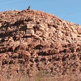 Review photo of Government Wash — Lake Mead National Recreation Area by Chelsea K., April 23, 2018