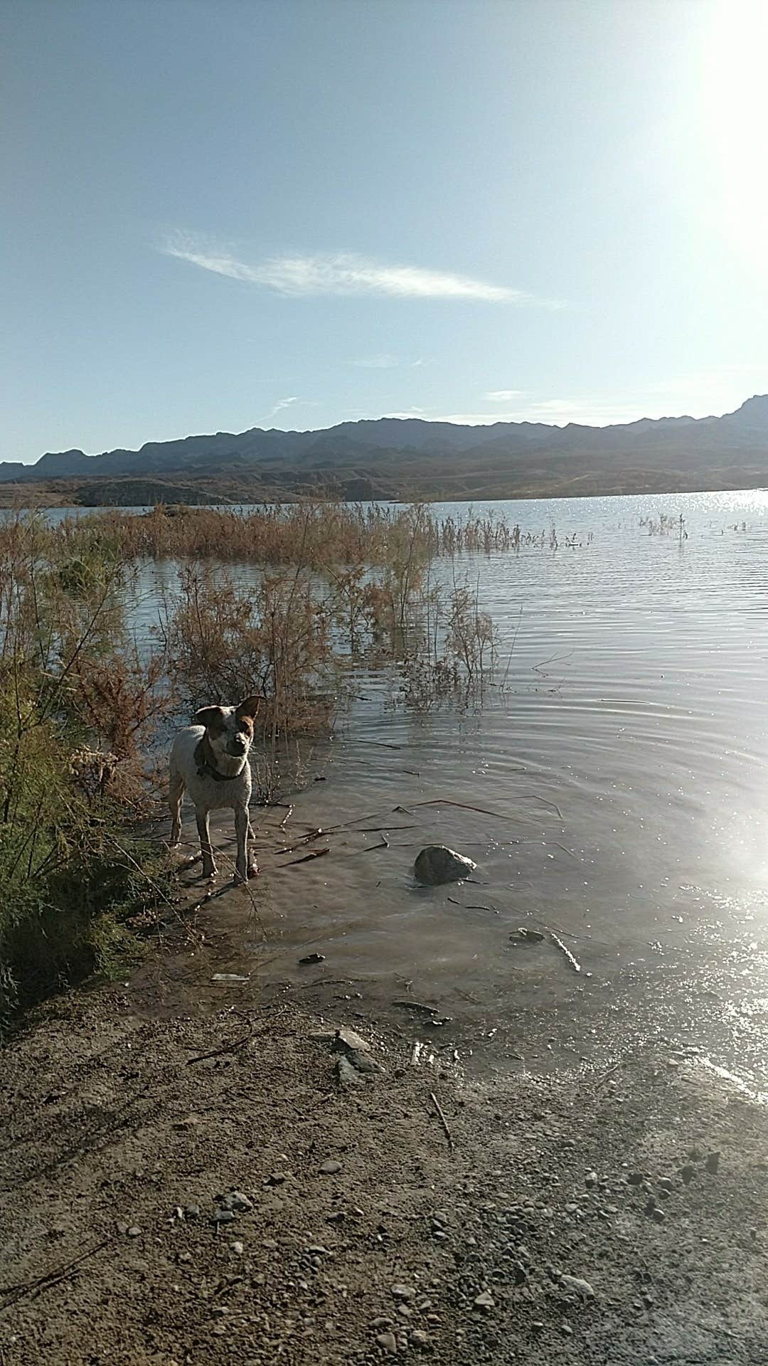 Government Wash — Lake Mead National Recreation Area