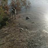 Review photo of Government Wash — Lake Mead National Recreation Area by Chelsea K., April 23, 2018