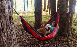 Sami Jo L.'s photo of camping with pets at Mill Creek Camping — Berlin Lake Wildlife Area near Lakemore, OH