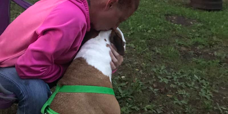 Camper submitted image from Mohican Reservation Campground & Canoeing