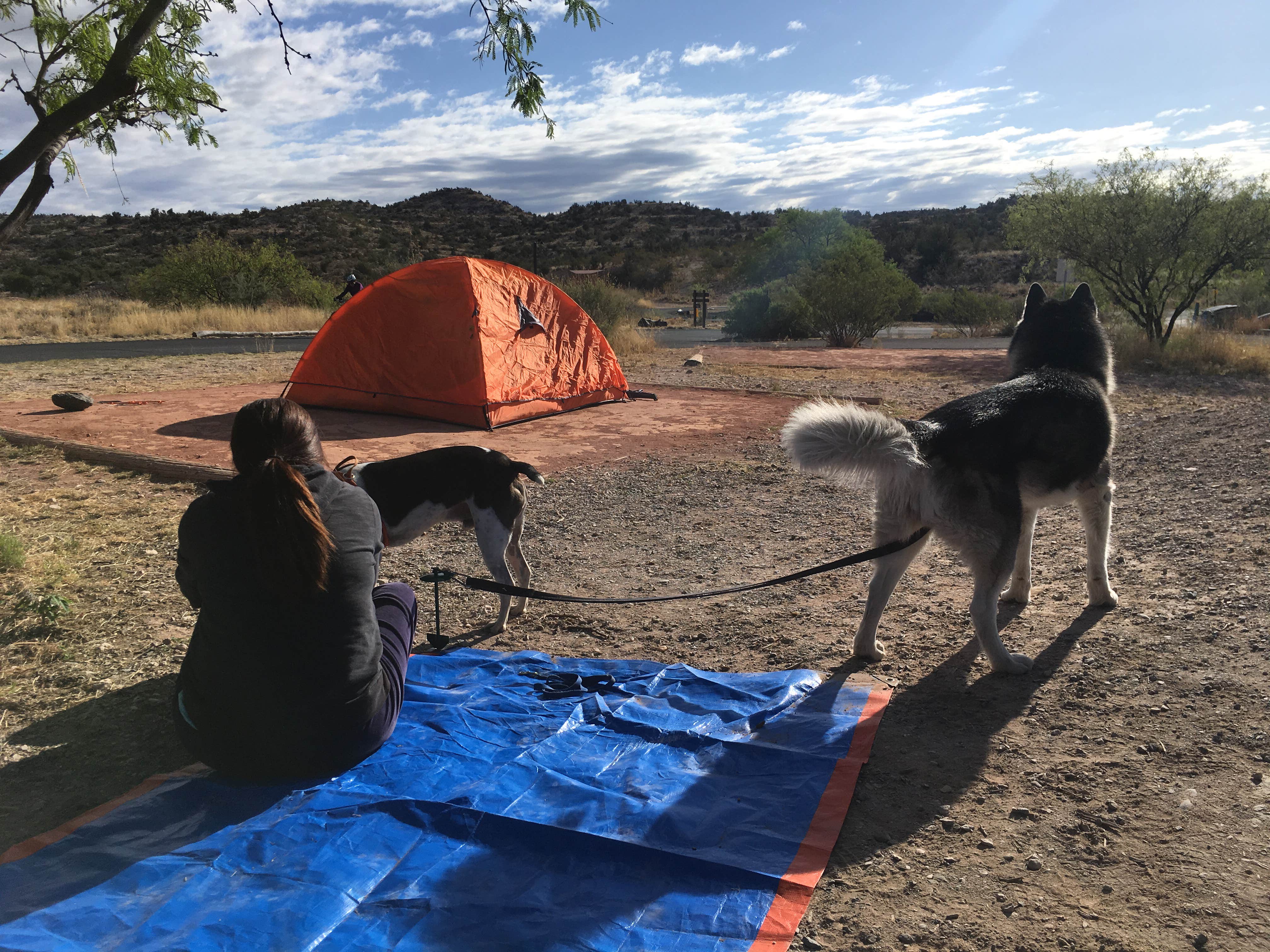 Noel S.'s photo at Dead Horse Ranch State Park Campground near Cottonwood, AZ