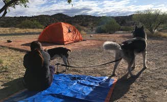 Noel S.'s photo at Dead Horse Ranch State Park Campground near Cottonwood, AZ