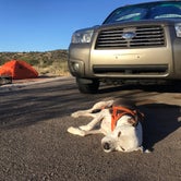 Review photo of Dead Horse Ranch State Park Campground by Noel S., April 23, 2018