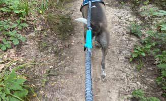 Amy S.'s photo of camping with pets at Jackson County Fleming Park Jacomo Campground near Excelsior Springs, MO
