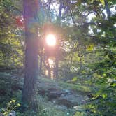 Review photo of Jackson County Fleming Park Jacomo Campground by Amy S., August 11, 2020