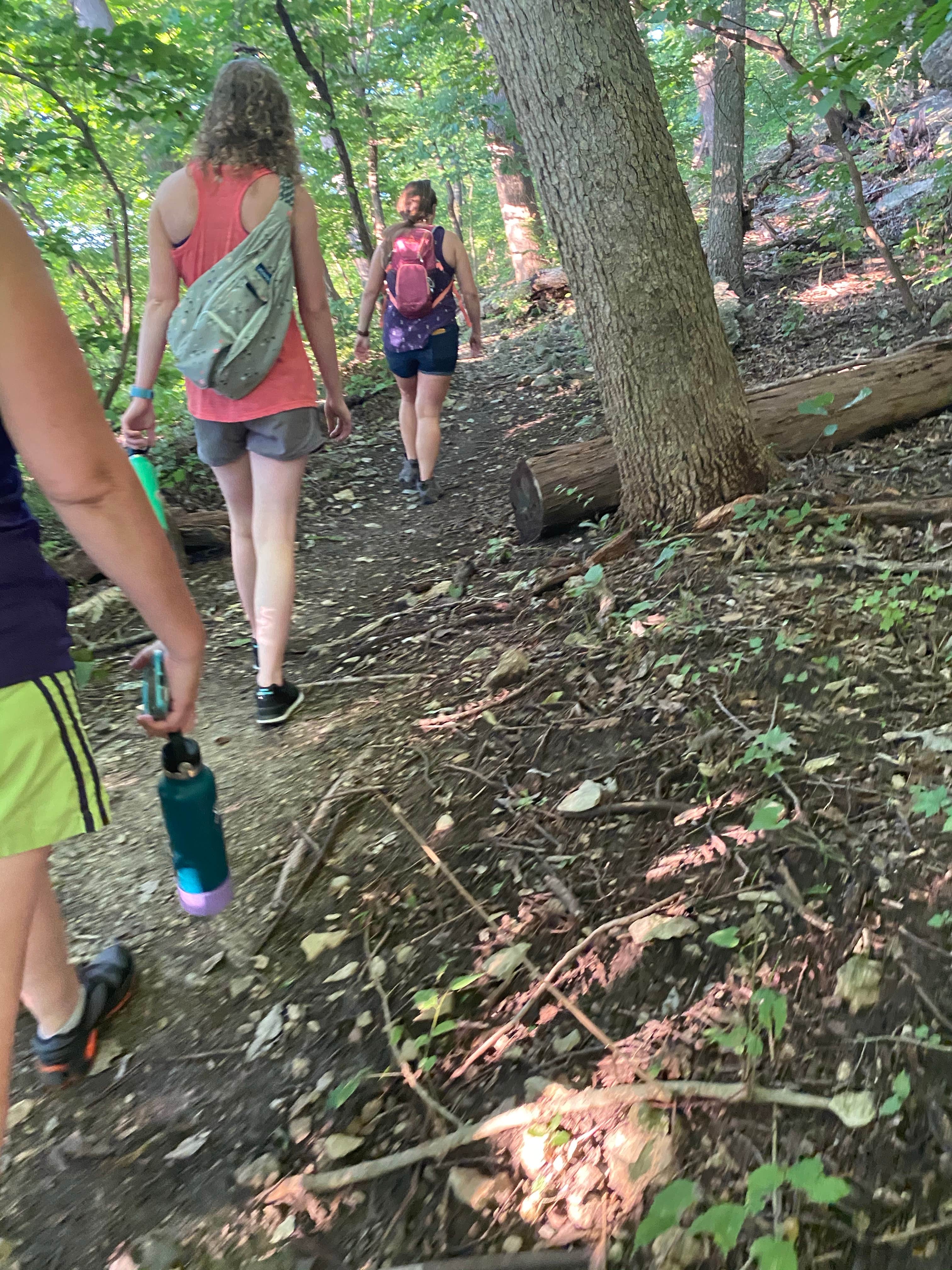 Camper submitted image from Jackson County Fleming Park Jacomo Campground - 5