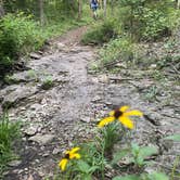 Review photo of Jackson County Fleming Park Jacomo Campground by Amy S., August 11, 2020