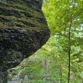 Review photo of Jackson County Fleming Park Jacomo Campground by Amy S., August 11, 2020