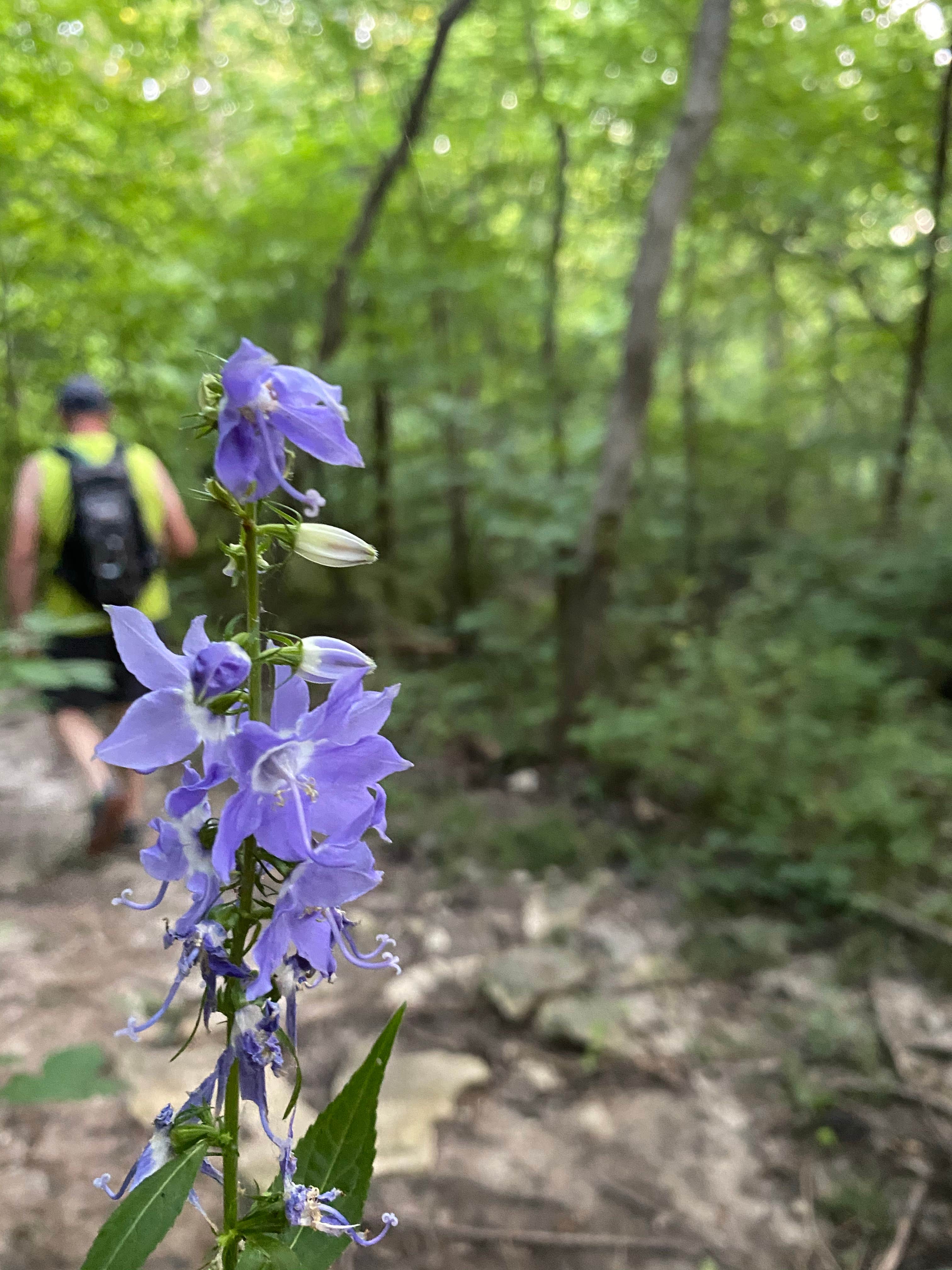 Camper-submitted photo at Jackson County Fleming Park Jacomo Campground near Independence, MO