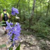 Review photo of Jackson County Fleming Park Jacomo Campground by Amy S., August 11, 2020