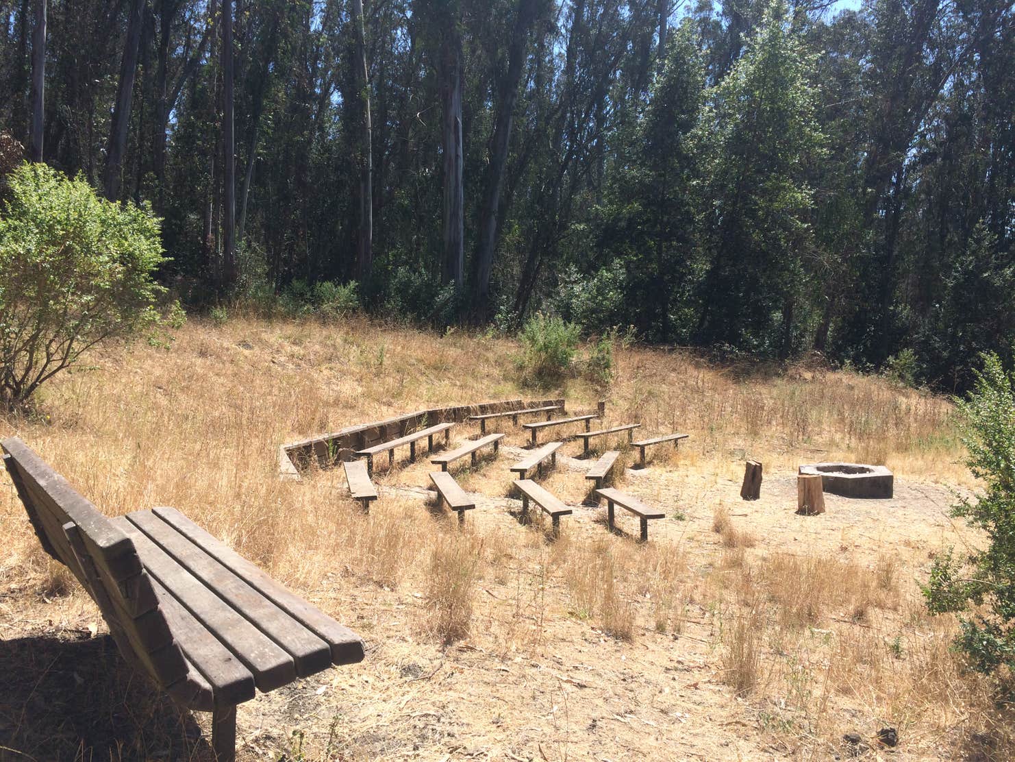 Tilden Regional Park The Dyrt