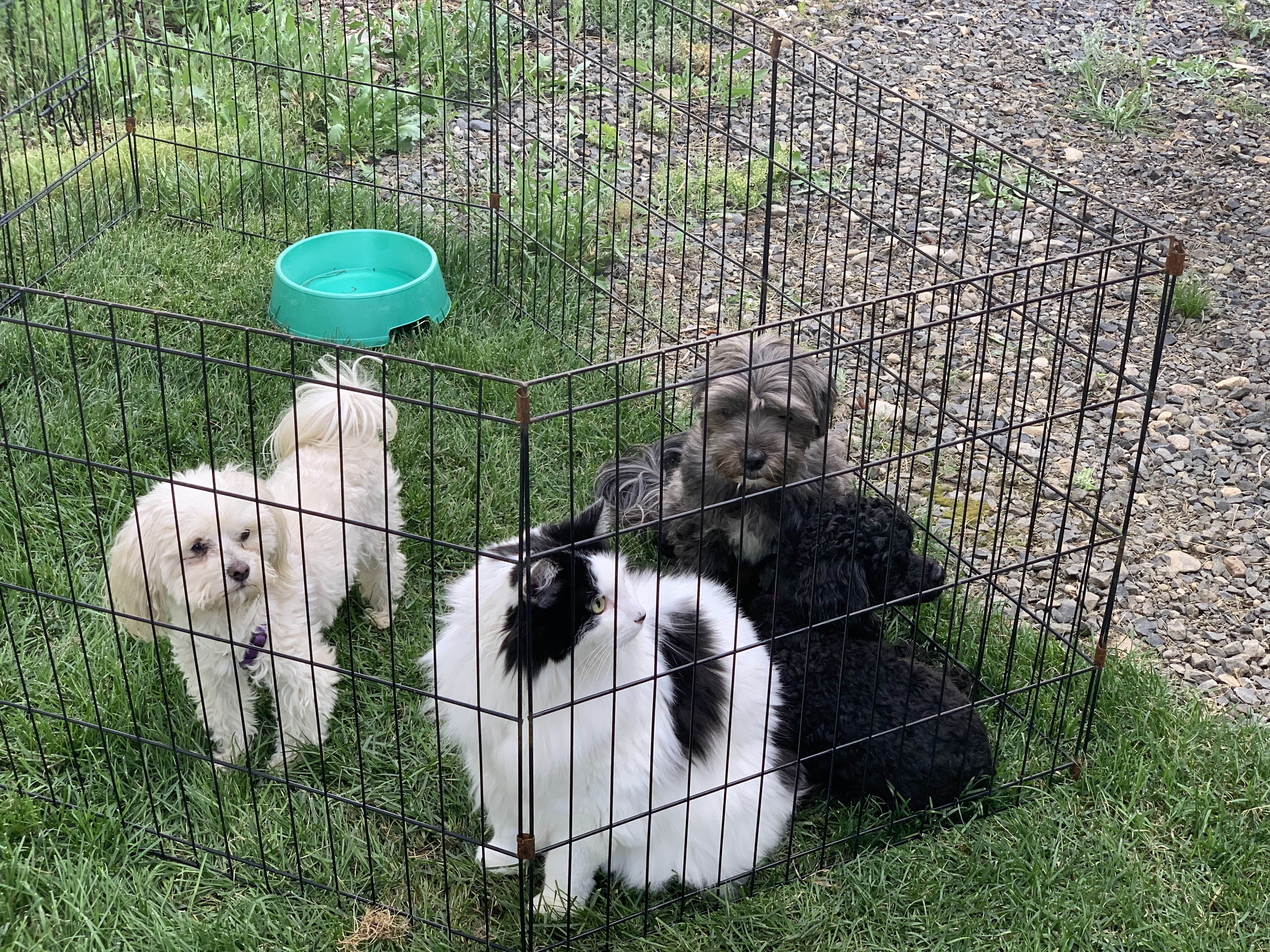 Camper-submitted photo at Black Bear RV Park near McCall, ID