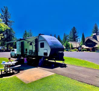 Camper-submitted photo from Black Bear RV Park