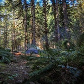 Review photo of Mineral Forest Camp by Tj B., April 24, 2018