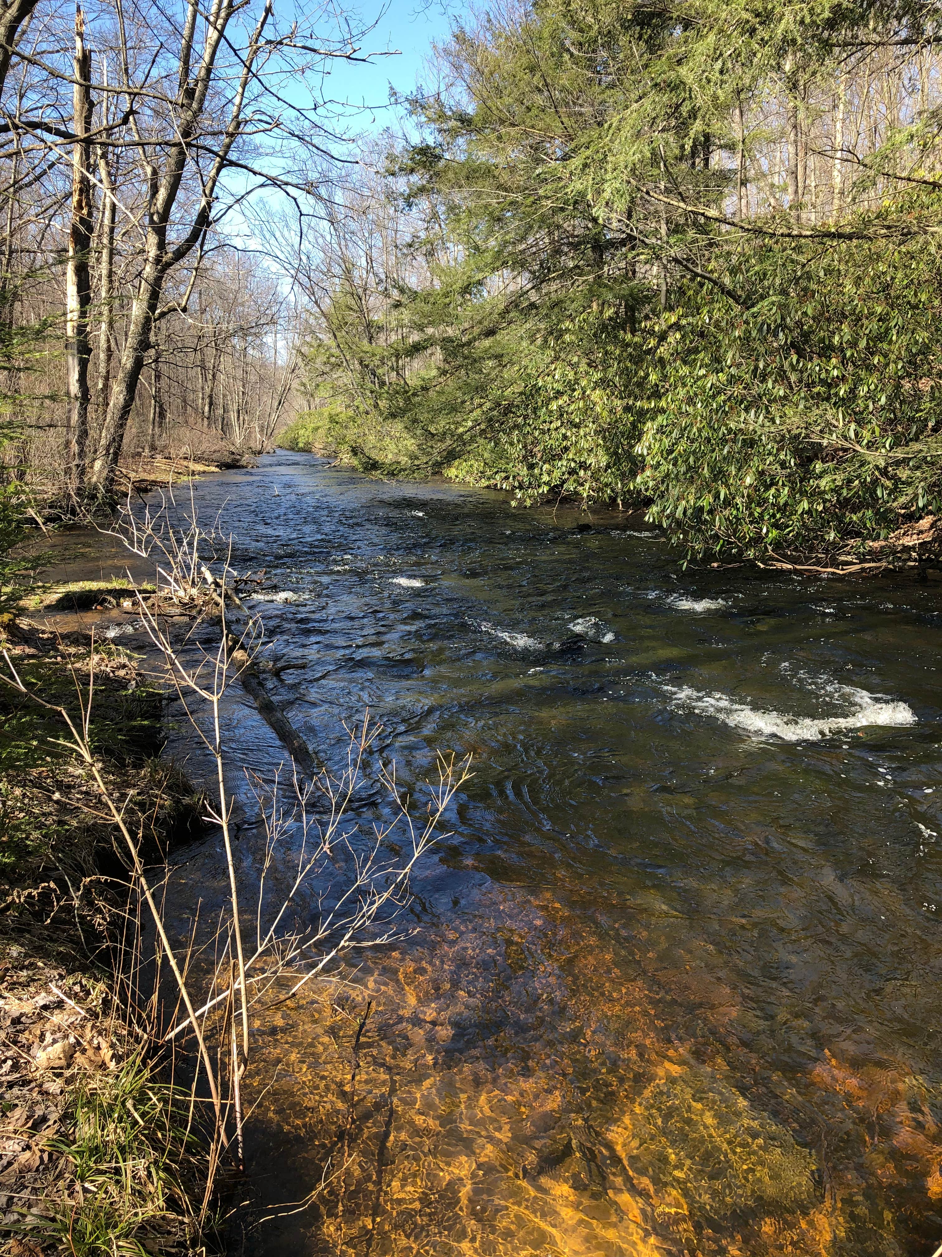 Camper-submitted photo at Black Moshannon State Park Campground near Lemont, PA