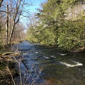 Review photo of Black Moshannon State Park Campground by Sandi G., April 24, 2018