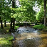 Review photo of Vogel State Park Campground by Annell N., August 10, 2020