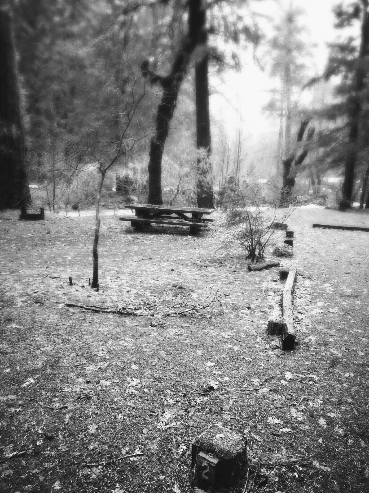 Camper-submitted photo at Deerlick Springs Campground near Hayfork, CA