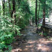 Review photo of Vogel State Park Campground by Annell N., August 10, 2020