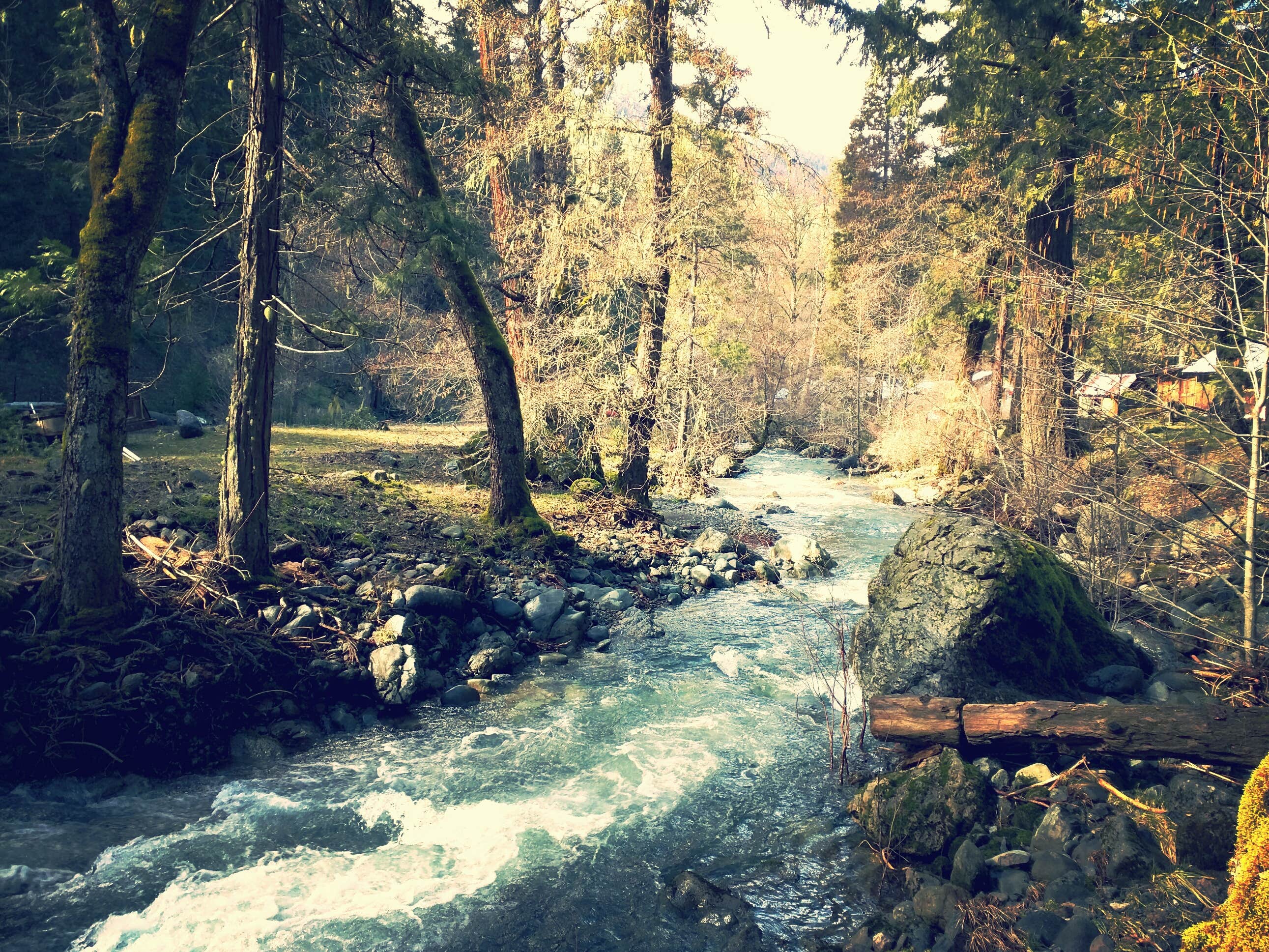 Camper-submitted photo at Deerlick Springs Campground near Hayfork, CA
