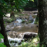 Review photo of Vogel State Park Campground by Annell N., August 10, 2020